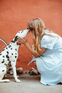 Sådan passer du godt på din hund